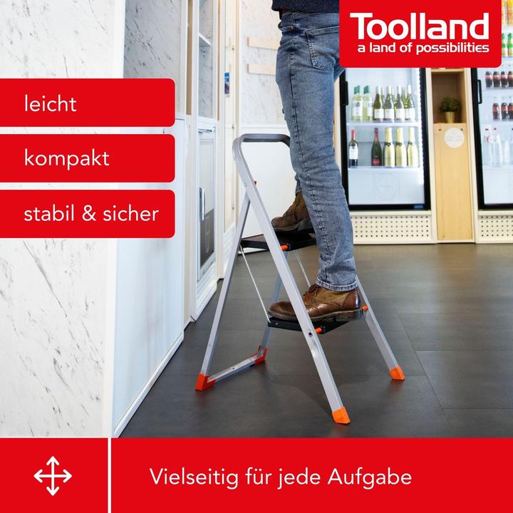 Actual product image Toolland Stepix stool 2 steps (Stile, 52 cm)