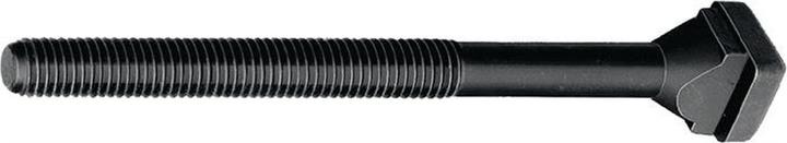 Amf T-groove screw (1 Screws per piece)