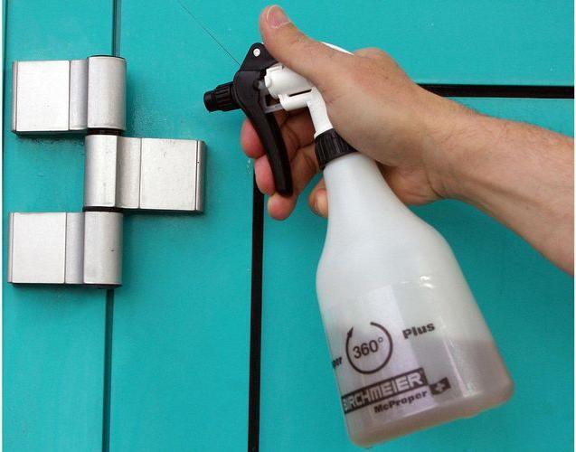 Actual product image Birchmeier Hand Sprayer Super McProper Plus (0.50 l)
