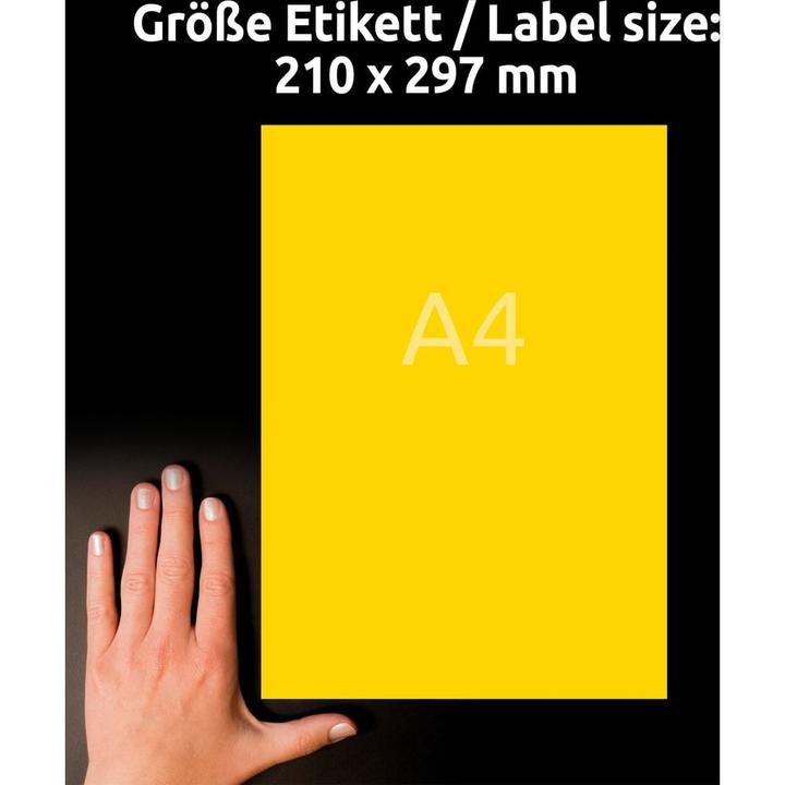 Produktbild Avery Farbige Etiketten