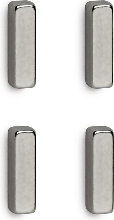 Actual product image Maul Bar magnet (4 x)