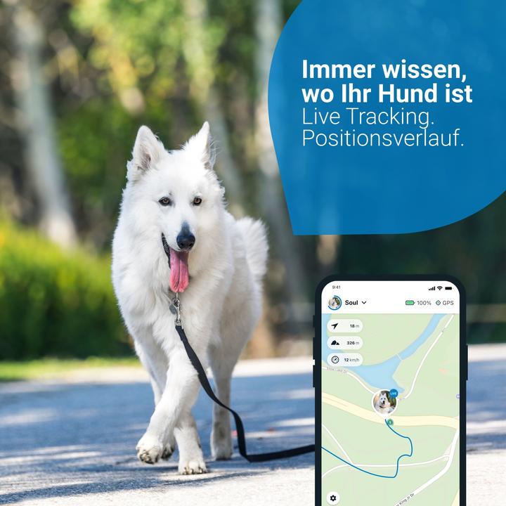 Produktbild Tractive Dog 4 GPS Tracker für Hunde (Katze, Hund, Spazieren)