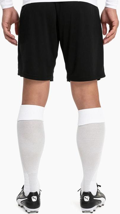 Actual product image Puma Team LIGA Socks-703438 (35 - 38)