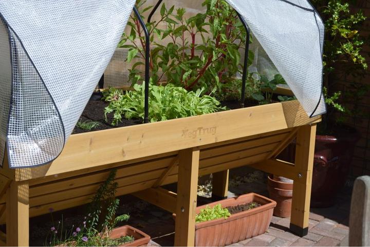 Actual product image VegTrug Plant box