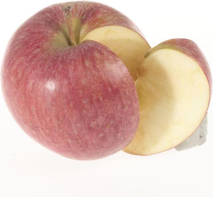 Image du produit Lubera Deux pommiers en colonne pour le bac
