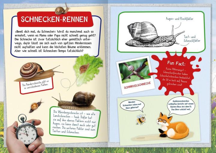 Produktbild Naturforscher-Kids – Mein erstes Naturforscher-Buch (Deutsch, Eva Eich, 2024)