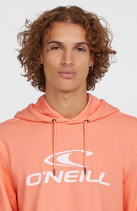 Immagine prodotto O'Neill Logo Hoodie (XL)