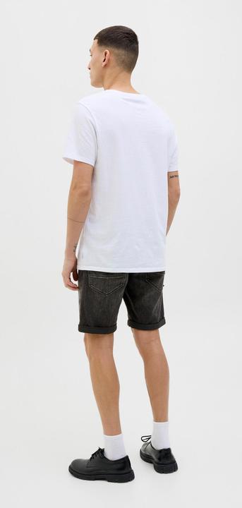 Produktbild Jack & Jones Jjirick Jjfox Shorts Cb 310 Sn (L)