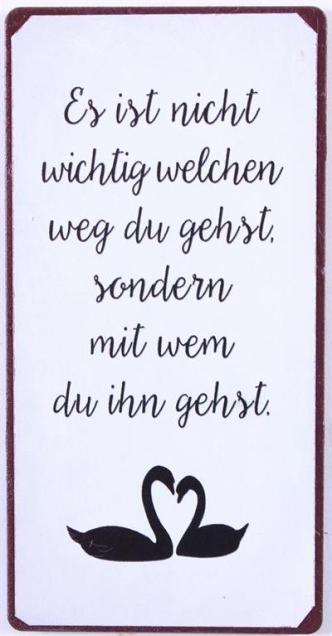 La Finesse Magnet Es ist nicht wichtig...