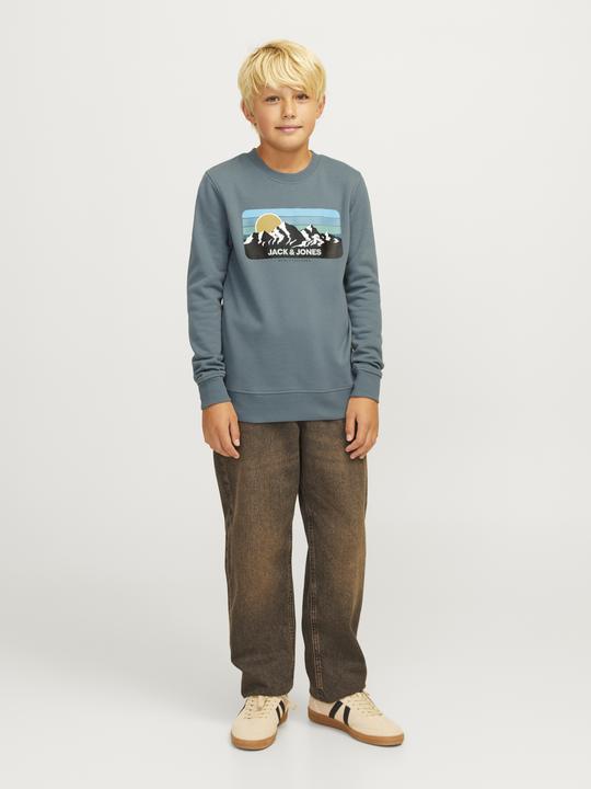 Immagine prodotto Jack & Jones Felpa stampata con collo rotondo Felpa con collo rotondo (176)