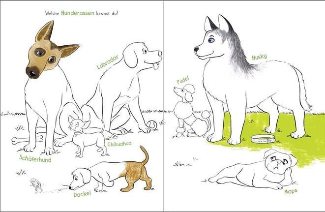 Actual product image Mal doch mal! - Ein Tag mit meinem Hund (German, Pattloch Publishing House, Nataša Emperor, 2024)