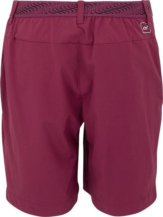 Actual product image Regatta Mountain Shorts II (S)