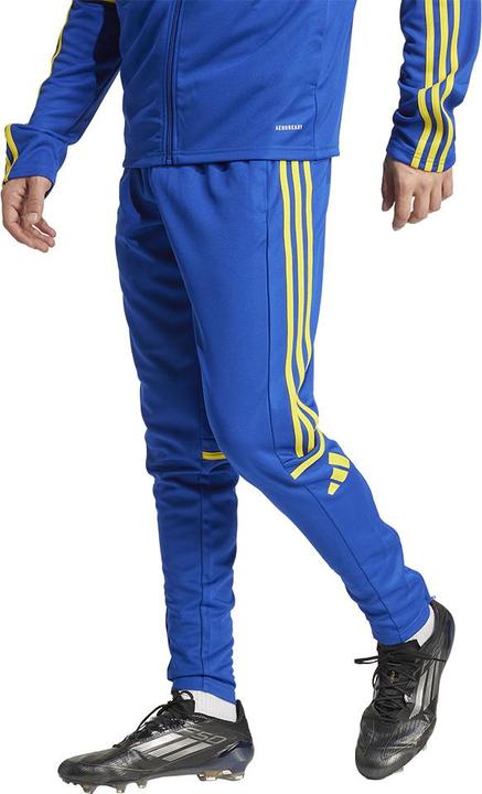 Actual product image adidas Squadra 25 training trousers (XL)