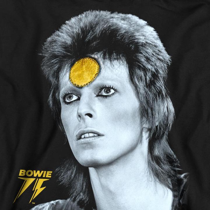 Produktbild David Bowie Golden Bowie Sweatshirt (XL)