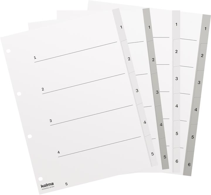 Actual product image Kolma Index A4 strong 1-5 5-piece white