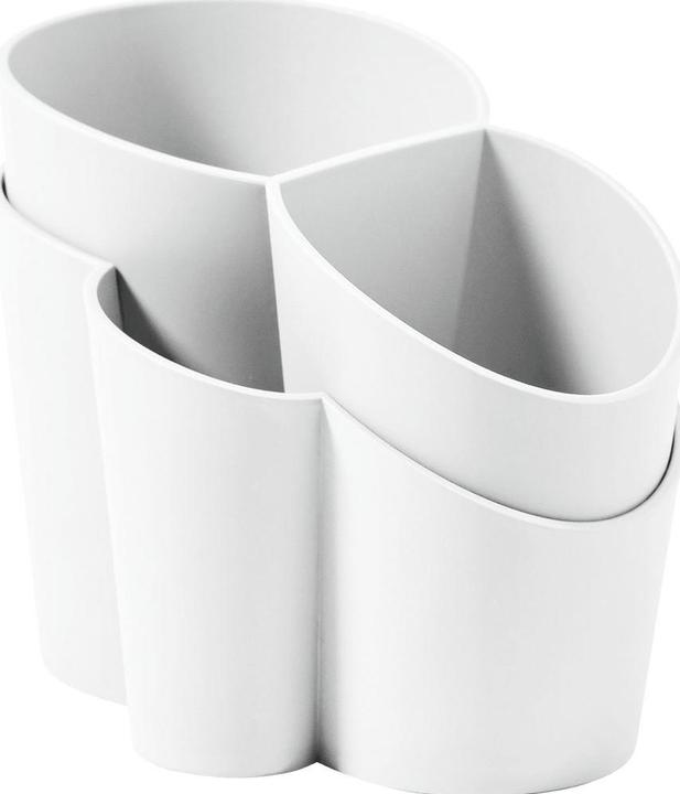 Arctic White