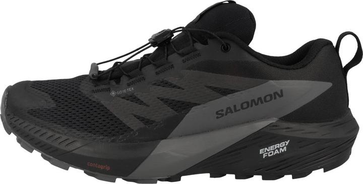 Actual product image Salomon Sense Ride 5 GTX - 59657 (47 1/3)