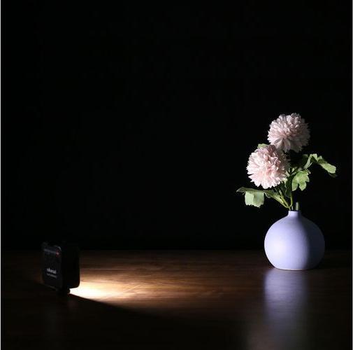 Image du produit Ulanzi VL49 (Lumière vidéo)