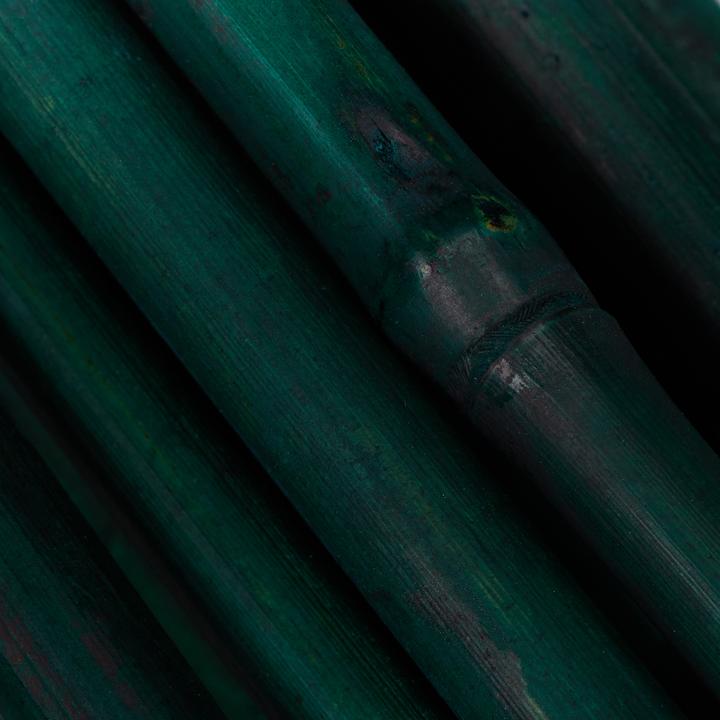 Actual product image Relaxdays 25x planting sticks (120 cm, 120 cm)