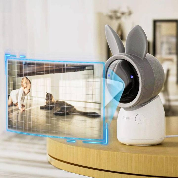 Actual product image Arenti AInanny (Video & Audio, 150 m)