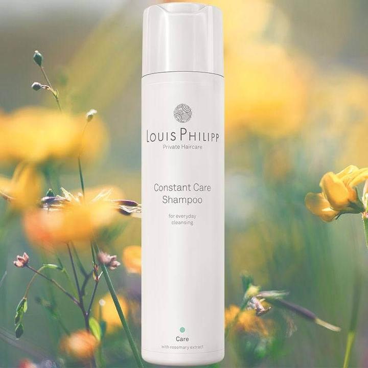 Actual product image Louis Philipp Constant Care Shampoo (250 ml, Liquid shampoo)