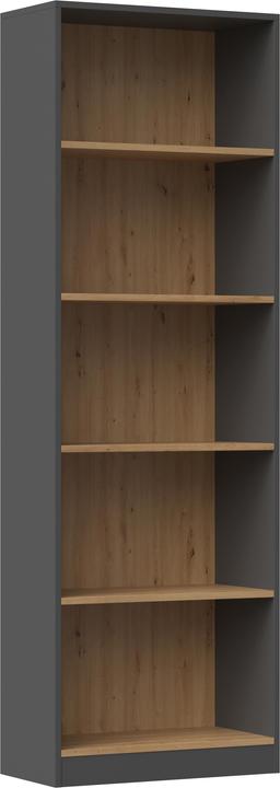 Topeshop R60 Ant/Art (60 x 30 x 182 cm)