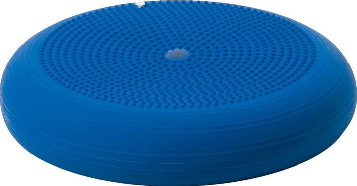 Actual product image Togu Dynair ball cushion XXL