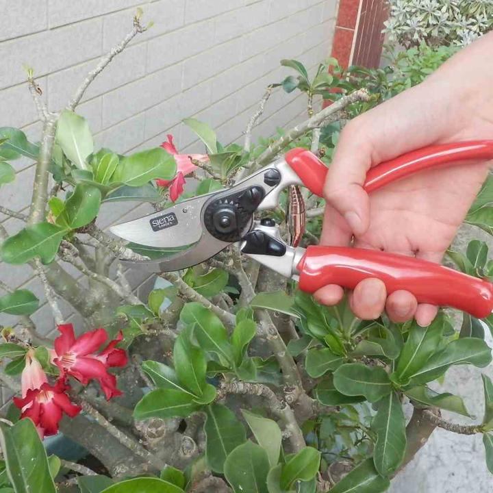 Actual product image Siena Garden Pruning shears with rolling handle