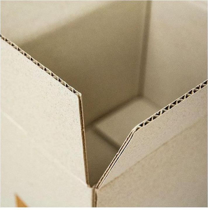 Produktbild Antalis GrasBox (22 x 16 x 15 cm, 25 x)