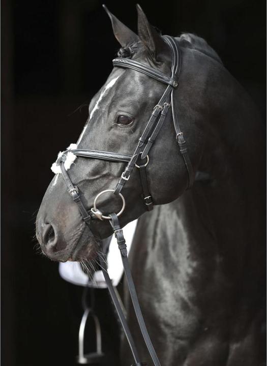 Produktbild Kerbl Trensenzaum Cancun schwarz, Pony