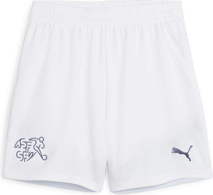 Puma SFV Shorts Replica Jr (152)