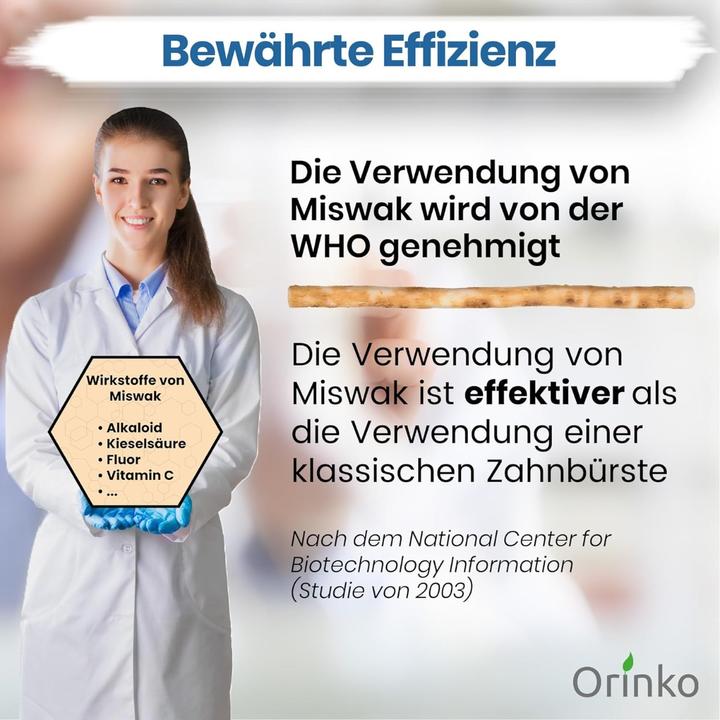 Produktbild Orinko Natürliche Miswak Zahnbürste (6 x)