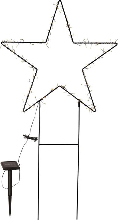Immagine prodotto Star Trading Barlumi