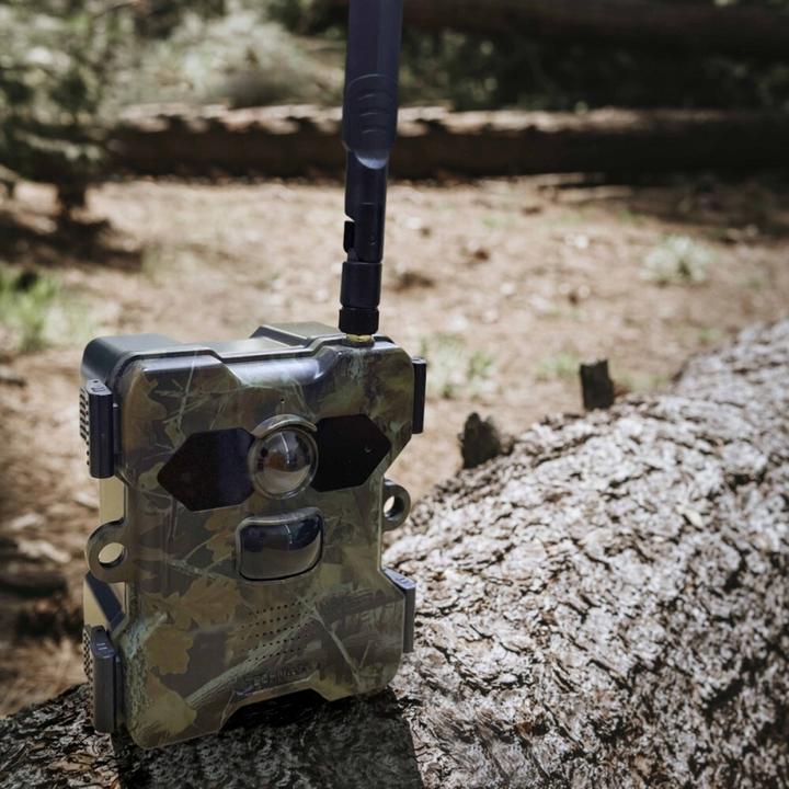 Actual product image Technaxx TX-189 -Surveillance camera for wildlife observation incl. solar panel