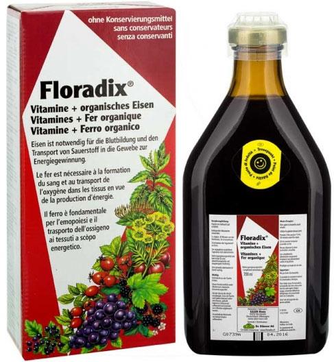 Produktbild Floradix Eisen (1 Stück, Flüssigkeit, 600 g)