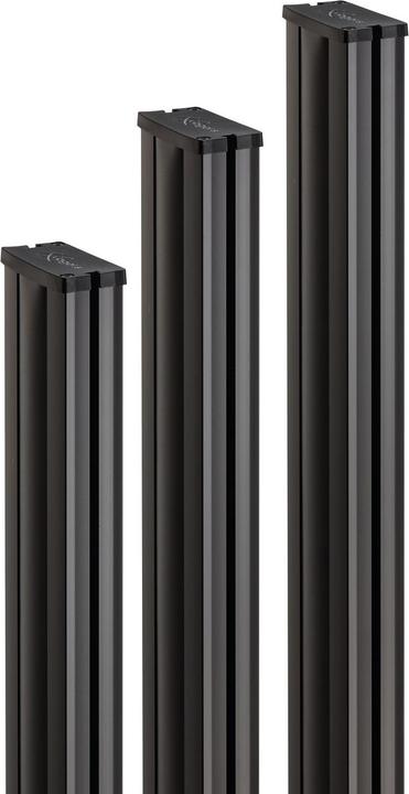 Vogels PUC 2920 - Montagekomponente (Stange) für LCD-Display (Boden, Decke, 80 kg)