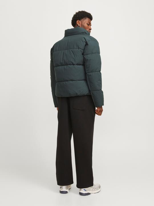 Immagine prodotto Jack & Jones Giacca trapuntata Giacca trapuntata (L)