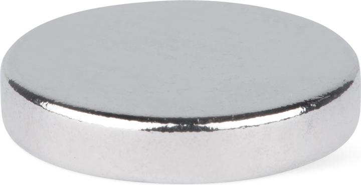 Magnet