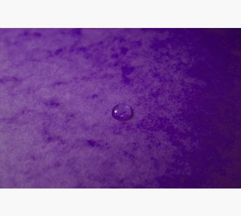 Actual product image Exacompta Corner folder 'Colorspan (A4, 425 x)