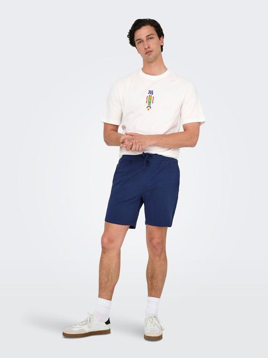 Actual product image Only & Sons Onskian Reg Seersucker Shorts (L)