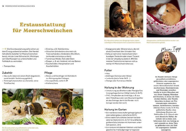 Actual product image Kosmos Meerschweinchen (German, Viola Schillinger, 2023)