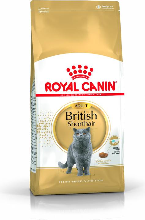 Actual product image Royal Canin British Shorthair 34 (Adult, 1 pcs., 10000 g)