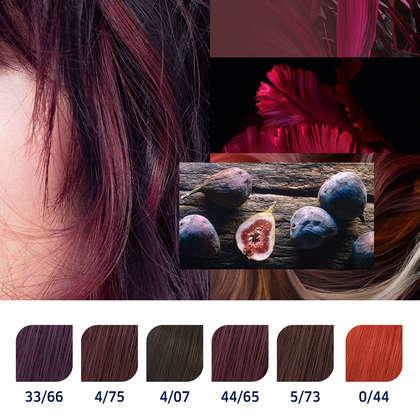 Actual product image Wella Koleston Perfect Me+ (0/65 Purple-Mahogany)