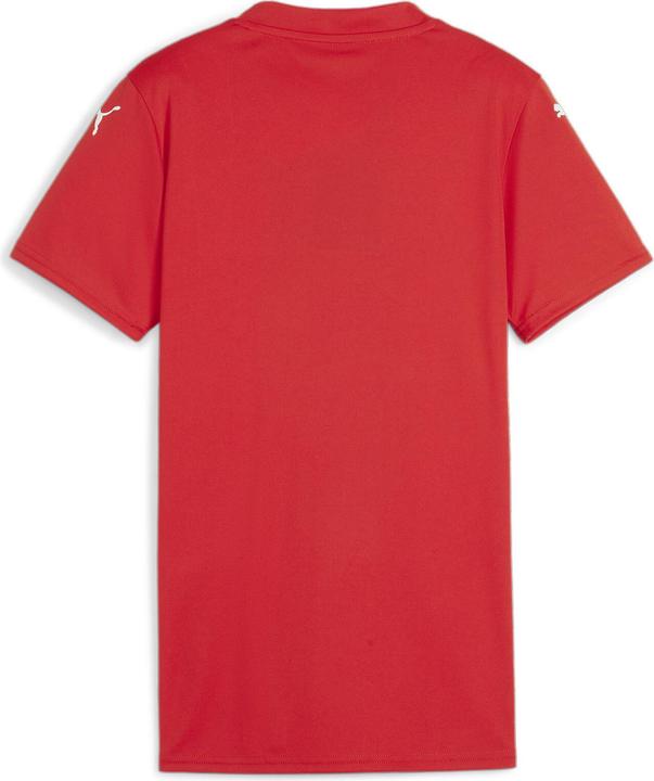 Image du produit Puma teamGLORY Jersey Wmns (M)