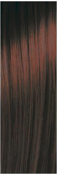 Image du produit pH Argan & Keratin Color (5,35 Chocolat)
