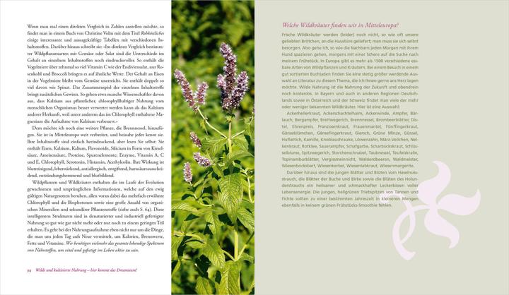 Produktbild Wildkräuter - meine Lebensretter. Selbstheilung mit der Natur (Deutsch, Ralf Brosius, 2022)