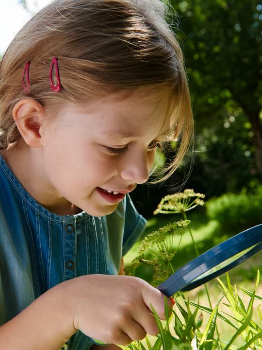 Actual product image Haba Terra Kids magnifying glass