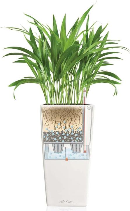 Produktbild Lechuza Cubico Color (39.50 cm)