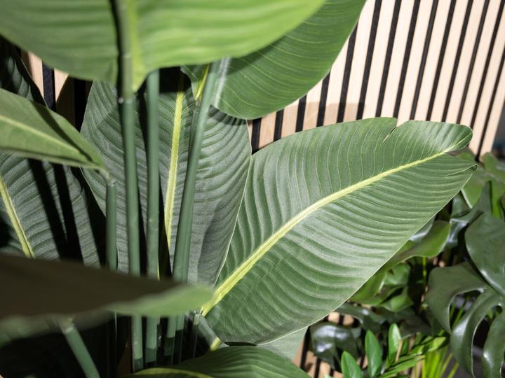 Produktbild Europalms Strelitzie, Kunstpflanze, 110cm