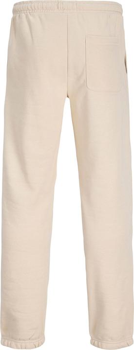 Actual product image Jack & Jones Relaxed Fit Hosen Junior Relaxed Fit Hosen (176)